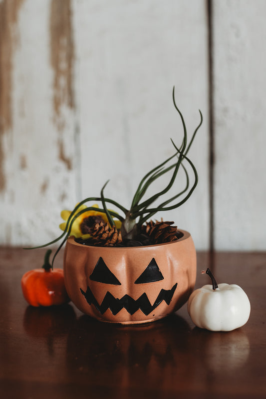 Handmade Jack O'Lantern Container | Halloween Concrete Decor | Jack O'Lantern Planter