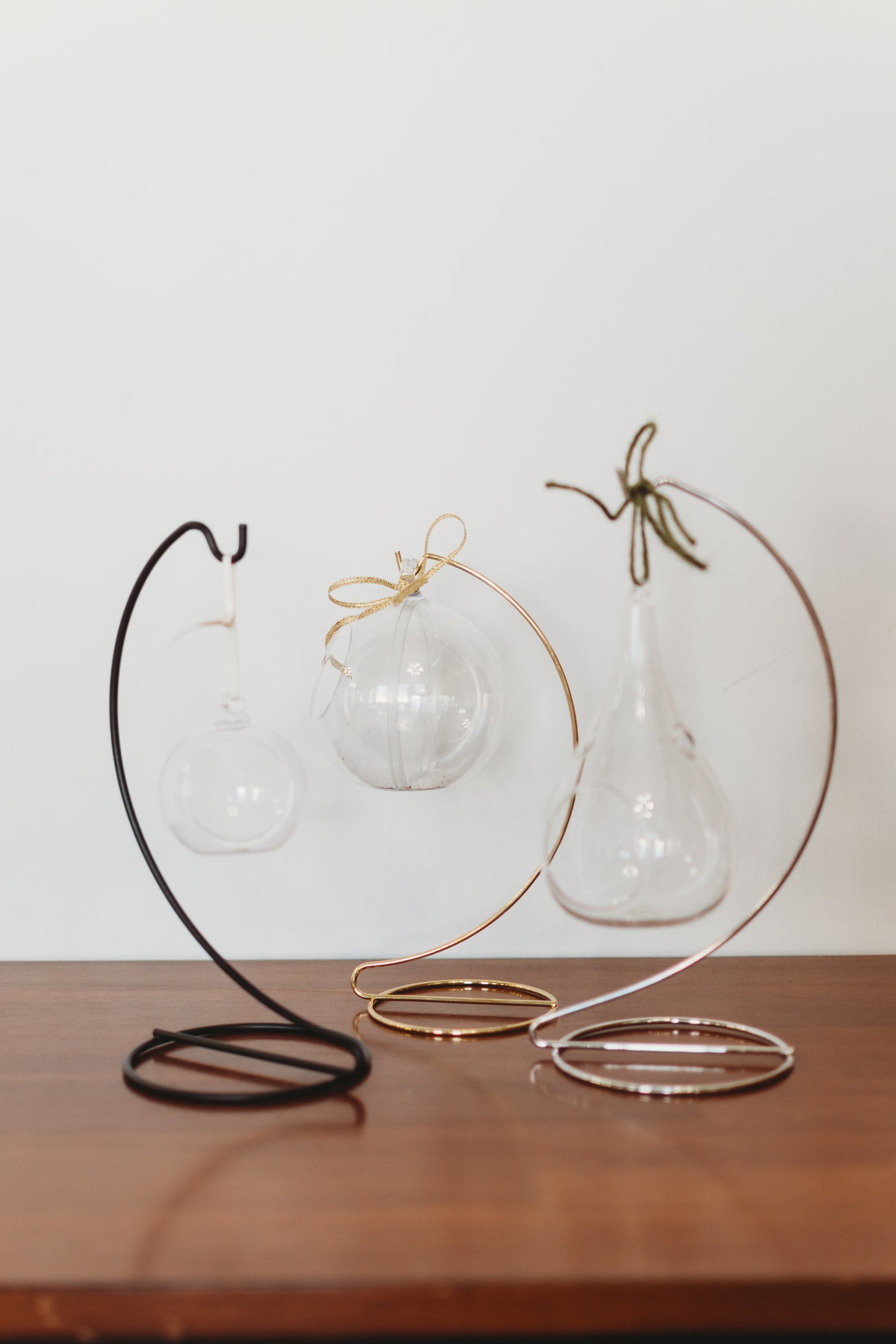 Flora & Fauna Air Plant Terrarium | Build Your Own Terrarium Kit | Do It Yourself Terrarium