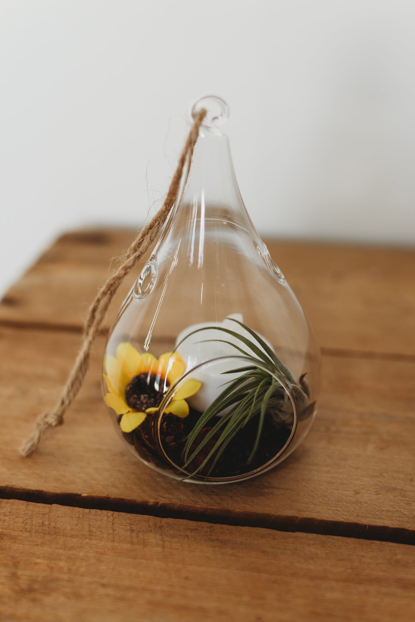 Autumn Air Plant Terrarium | Build Your Own Fall-Themed Terrarium Kit | Do It Yourself Terrarium