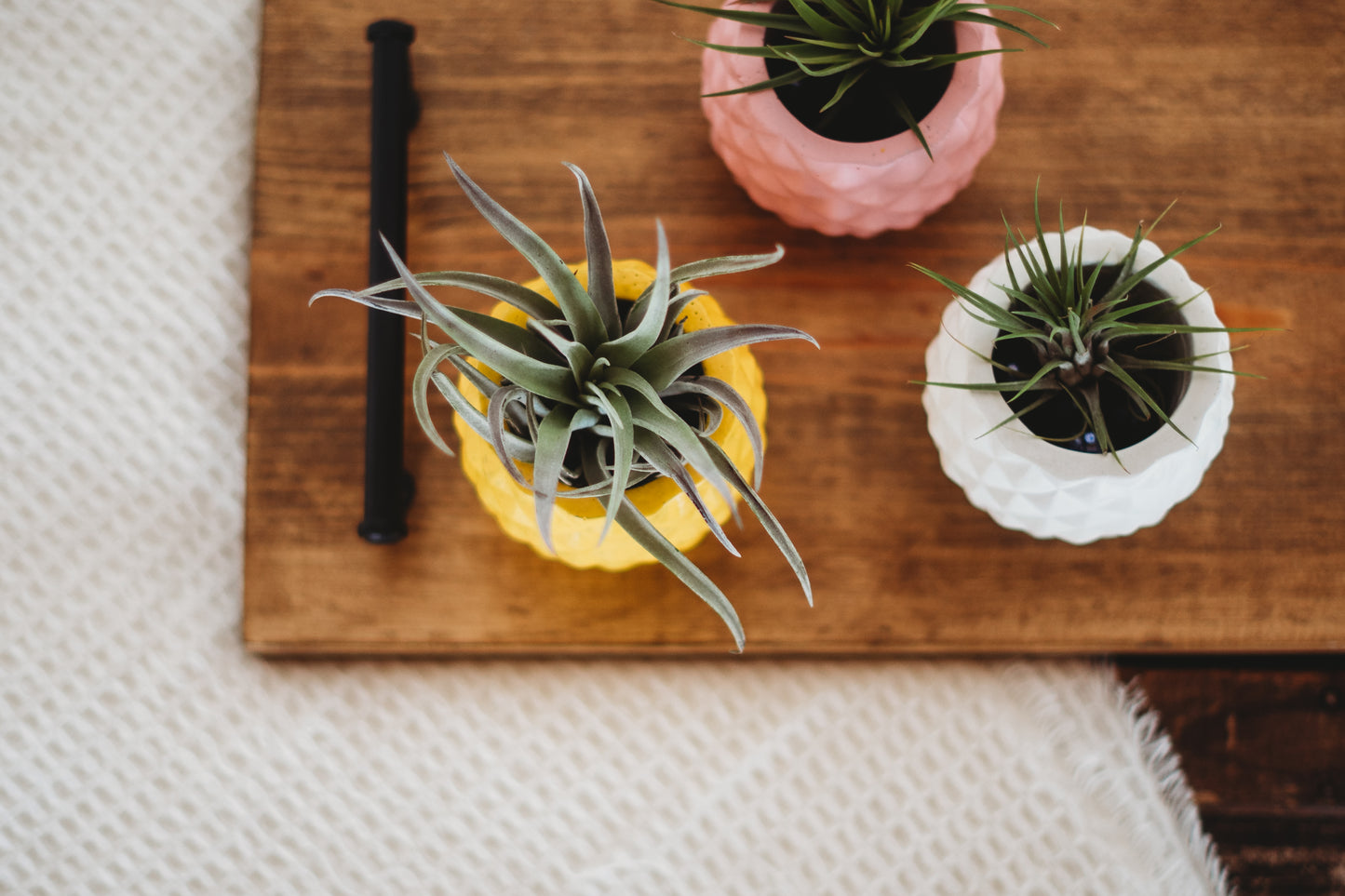 Handmade Pineapple Decor | Pineapple Concrete Container | Pineapple Planter