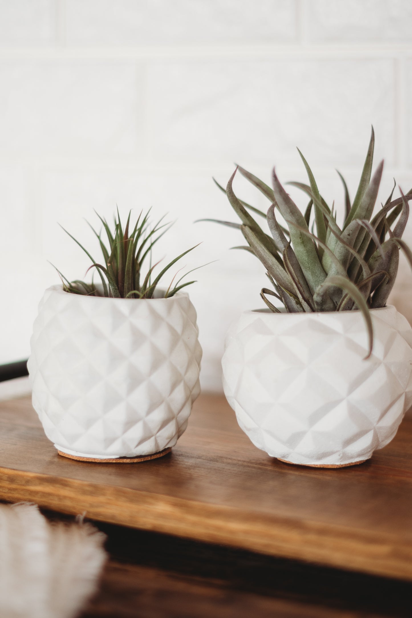 Handmade Pineapple Decor | Pineapple Concrete Container | Pineapple Planter