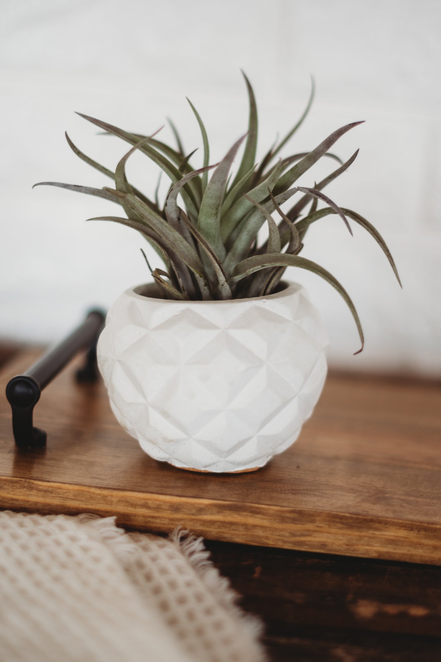 Handmade Pineapple Decor | Pineapple Concrete Container | Pineapple Planter