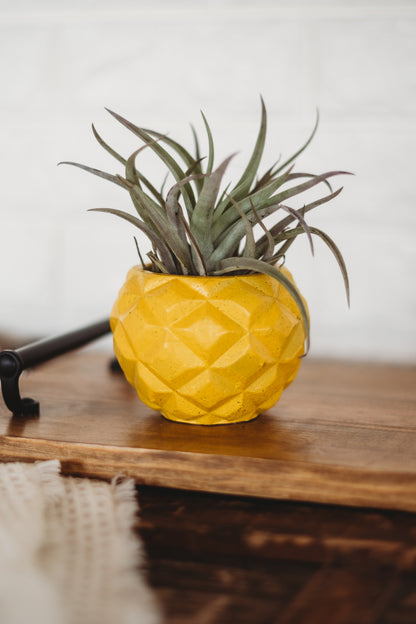 Handmade Pineapple Decor | Pineapple Concrete Container | Pineapple Planter