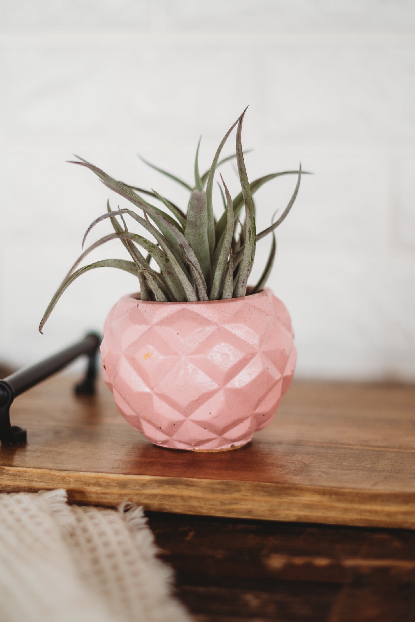 Handmade Pineapple Decor | Pineapple Concrete Container | Pineapple Planter