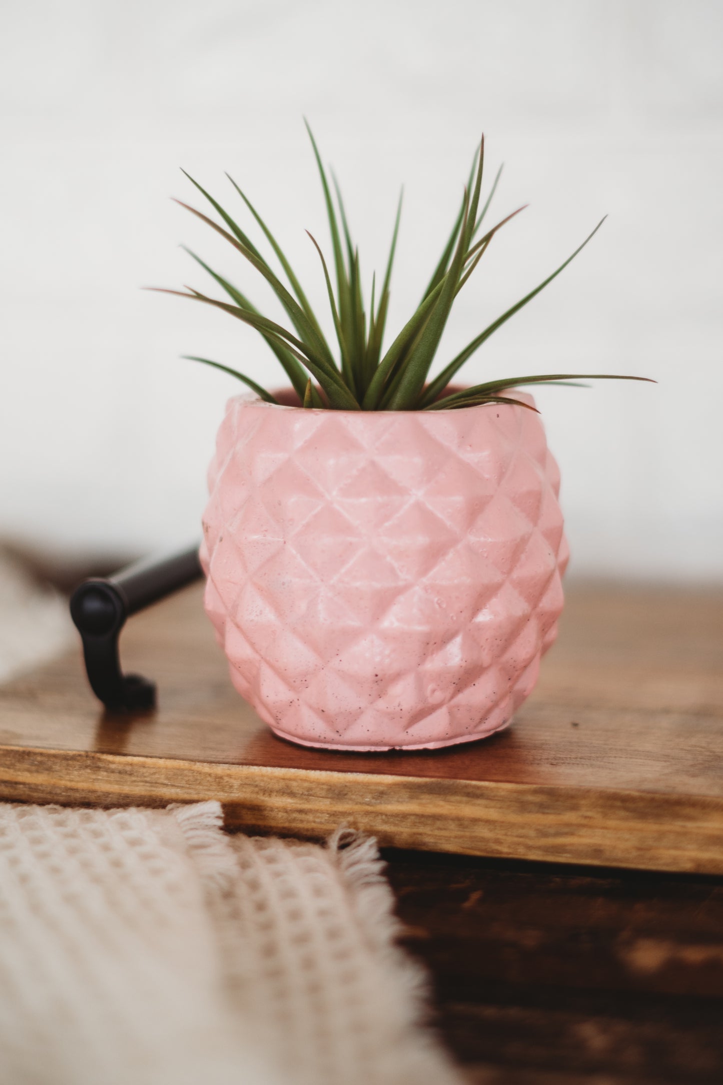 Handmade Pineapple Decor | Pineapple Concrete Container | Pineapple Planter