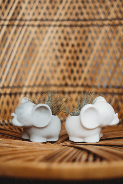 Handmade Concrete Elephant Container: Cement Planter with Air Plant or Pencil Holder