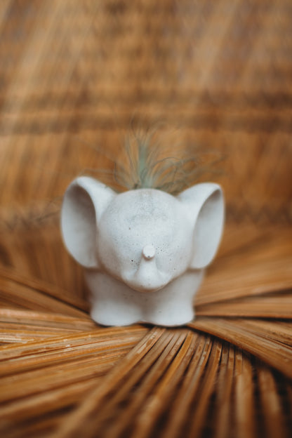 Handmade Concrete Elephant Container: Cement Planter with Air Plant or Pencil Holder
