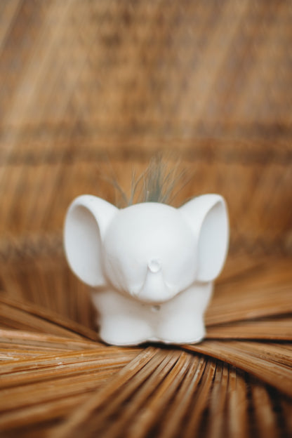 Handmade Concrete Elephant Container: Cement Planter with Air Plant or Pencil Holder
