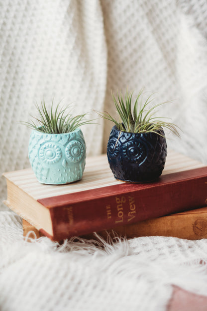 Handmade Owl Decor | Mini Concrete Owl Container | Succulent Planter | Air Plant Holder