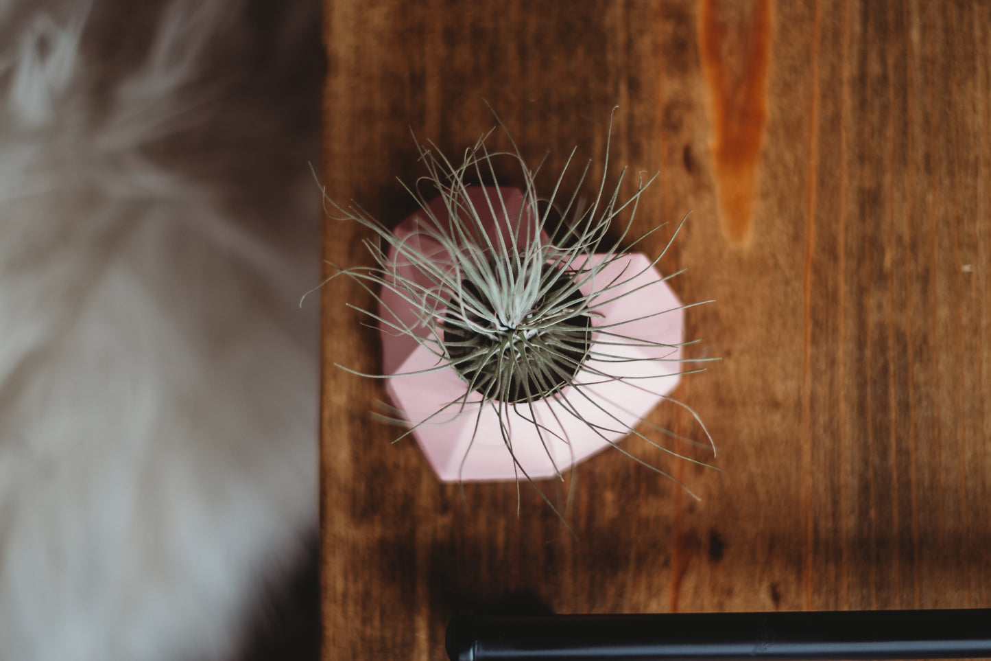 Mini Geometric Heart Decor | Handmade Mini Concrete Planter | Mini Cement Holder