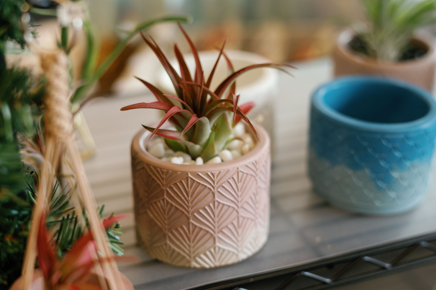 Large Patterned Concrete Container | Handmade Concrete Holder | Understated Cement Planter